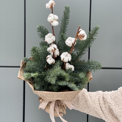 Нобилис — благородная пихта, создающая новогоднее настроение