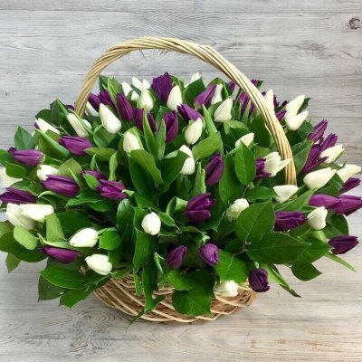 Корзина из белых и фиолетовых тюльпанов Моника