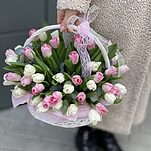 Корзина Весна  из 55 белых и розовых тюльпанов