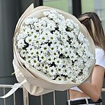 Букет Ромашка из 15 веток хризантемы