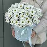 Коробочка Энна из 13 белой хризантемы