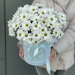 Коробочка Энна из 13 белой хризантемы