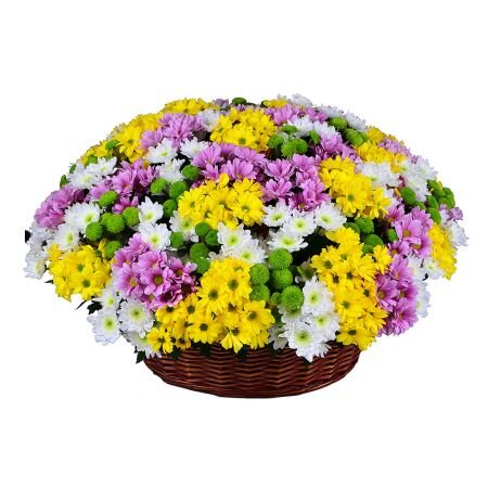 Корзина из хризантем Фелиса