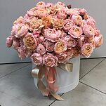 Коробка Джульетта Макси из пионовидной кустовой розы