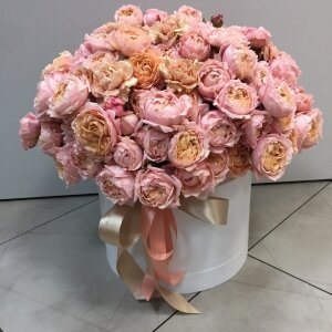 Коробка Джульетта Макси из пионовидной кустовой розы