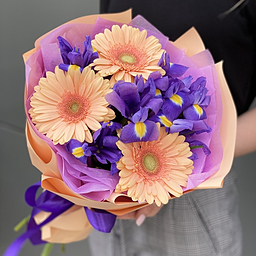 Букет Самба Мини из ирисов и гербер