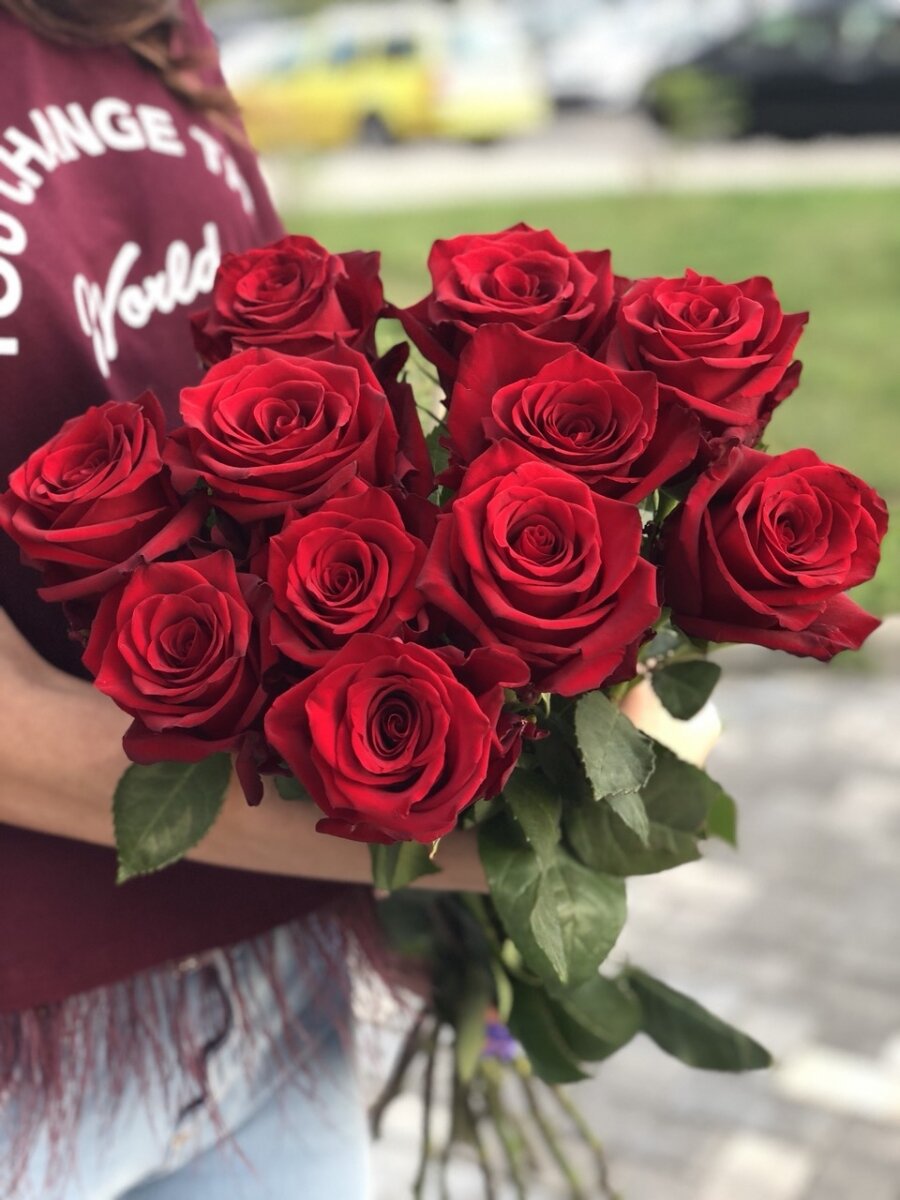 Роза красная  Голландия 60 см
