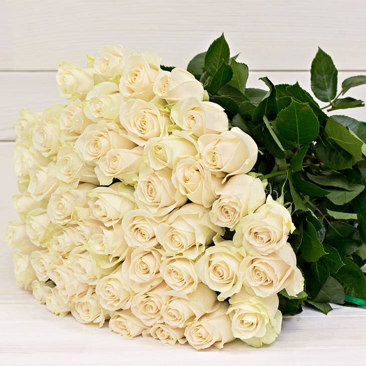 Роза белая  60 см
