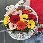 Корзина Мысли о тебе из 17 гербер и зелени