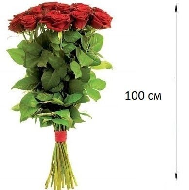 Букет из 9 красных роз 100 см.