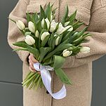Букет из 25 белых тюльпанов