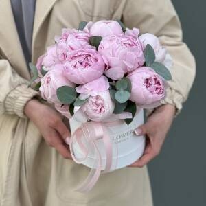 Коробка Анси из 11 пионов и эвкалипта