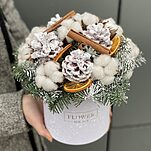 Зимний Снежок композимия из хлопка и нобилиса