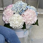 Коробка с гортензией Фиджи