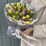 Букет из 25 желтых и фиолетовых тюльпанов