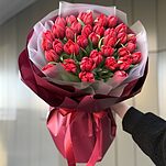Букет Грация из 35 пионовидных тюльпанов рэд принцесс