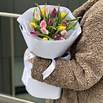 Букет Карандаши из 15 тюльпанов микс