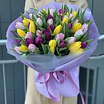 Букет Карандаши из 51 тюльпана микс