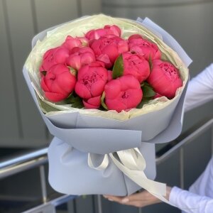 Букет Коралл Шарм из 11 пионов