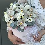 Коробка Волшебная орхидея из цимбидиума и эустомы