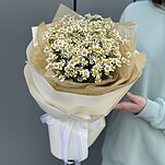 Букет из 7 веточек ромашек (танацетума)