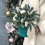 Композиция Зимние мотивы из нобилиса, лагуруса и хлопка