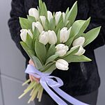 Букет из 15 белых тюльпанов