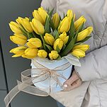 Коробка Шарлен из 25 желтых тюльпанов