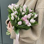 Букет из 25 розовых тюльпанов