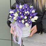 Коробка Очарование из ирисов и белых тюльпанов