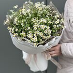 Букет из 7 веточек ромашек (танацетума)