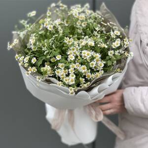 Букет из 15 веток ромашек (танацетума)