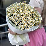 Букет из 15 веток ромашек (танацетума)