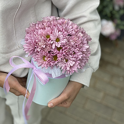 Коробка Энна из 5 веток розовых хризантем