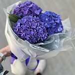 Букет Никки из 3 фиолетовых гортензий