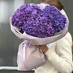 Букет Никки из 3 фиолетовых гортензий