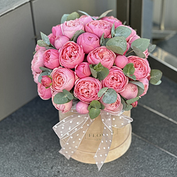 Коробка Скарлет S из пионовидных кустовых роз сильвия пинк