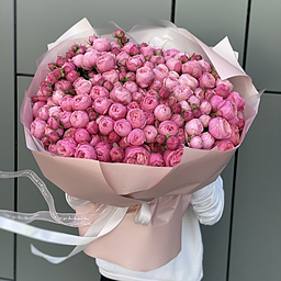 Букет Кэмирон из 65 веток кустовых пионовидных роз сильвия пинк