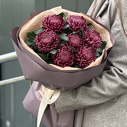 Букет Кураж из 7 хризантем сорта бигуди