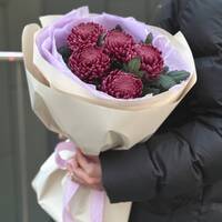 Букет Кураж из 5 хризантем сорта бигуди