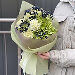 Букет Сочный Лайм из гортензии, диантуса и вибурнума