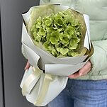 Букет Оливия из гортензии