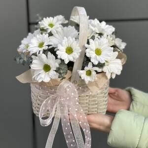Корзинка Мини из белой ромашковой хризантемы