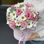 Коробка Фьюжн из хризантемы, эустомы и эвкалипта