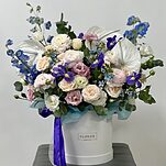 Коробка Жар-Птица из антуриума, дельфиниума, диантуса, ирисов, оксипеталума, ранункулюсов, эустомы и эвкалипта