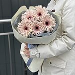 Букет Позитив из 5 гербер сорта Cream Springs