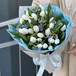 Букет Калейдоскоп Весны M из белых тюльпанов и оксипеталума