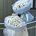 Букет Ромашка из 5 веток хризантемы