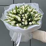 Букет Белые ночи из 101 белого тюльпана