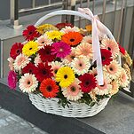 Корзина Макси Мысли о тебе из 71 герберы